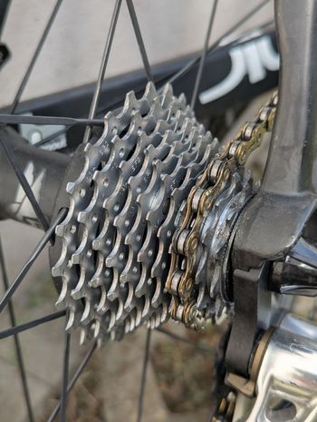 Used BMC BMC Custom Campagnolo Chorus 2009 Road & Gravel — image 6 of 17
