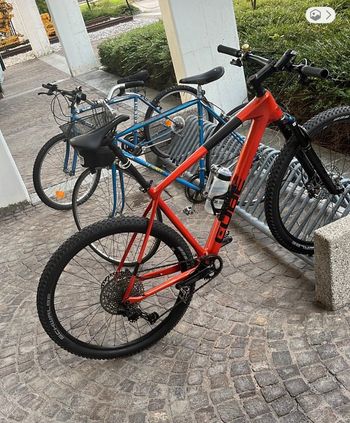 Used CUBE REACTION C:62 RACE 2024 2024 Mountainbike, Orange, 29 — image 3 of 5