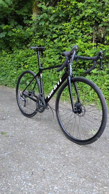Used Giant Giant Tcr Advanced 0 2022 Road & Gravel, Black — image 16 of 16