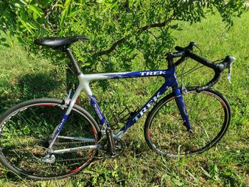Used Trek Trek Custom Shimano Dura Ace 2002 Road & Gravel