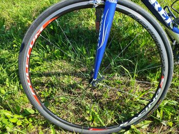Used Trek Trek Custom Shimano Dura Ace 2002 Road & Gravel, Blue — image 4 of 4