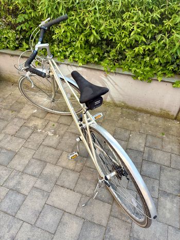 Used Creme Cycles Echo Shimano Claris 2023 Urban, White — image 3 of 7