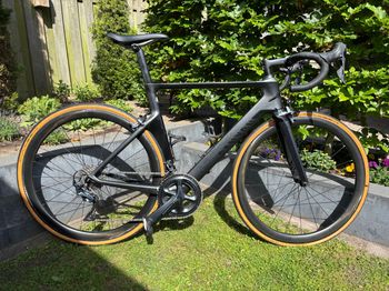 Used Canyon Canyon Aeroud CF SLX, Ultegra (velgremmen) 2019 Road & Gravel
