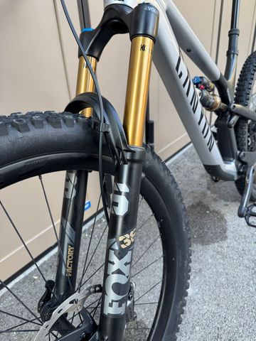 Canyon Spectral 29 CFR 2022 2022 Mountainbike usato, Grigio chiaro — immagine 9 di 19