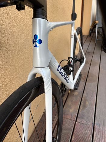 Used Colnago Colnago V5Rs Frameset | 510, 176-185cm | New Frameset 2026 Road & Gravel, Black — image 8 of 11