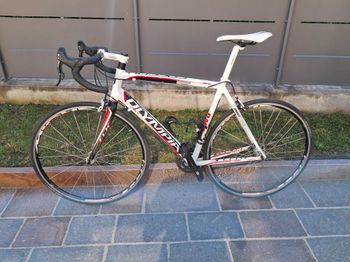 Used Olympia Olympia Da Corsa Speedy Al7005db 2010 Road & Gravel