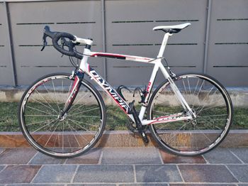 Used Olympia Olympia Da Corsa Speedy Al7005db 2010 Road & Gravel, White — image 5 of 6