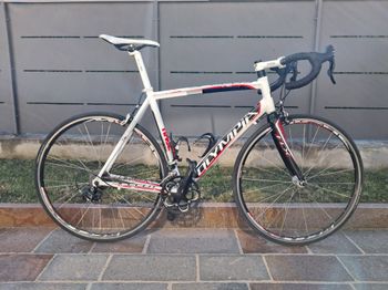 Used Olympia Olympia Da Corsa Speedy Al7005db 2010 Road & Gravel, White — image 3 of 6
