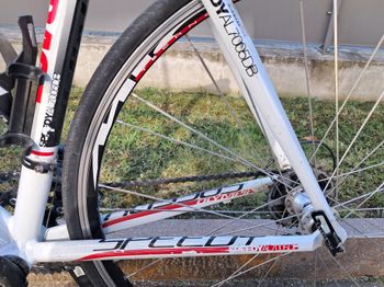 Used Olympia Olympia Da Corsa Speedy Al7005db 2010 Road & Gravel, White — image 4 of 6