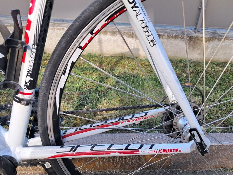 Used Olympia Olympia Da Corsa Speedy Al7005db 2010 Road & Gravel, White — image 4 of 6