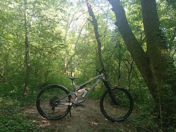 Used Commencal META AM 29 ORIGIN 2021 2021 Mountainbike, Blue, 29 — image 3 of 3