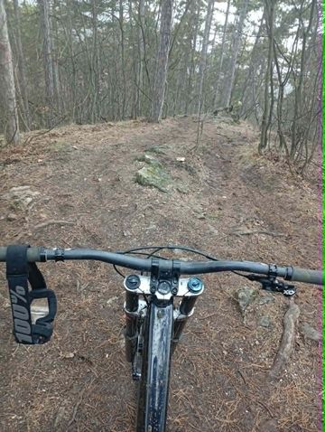 Used Canyon Sender CFR 2021 2021 Mountainbike, Black, 29, 27.5 — image 2 of 3