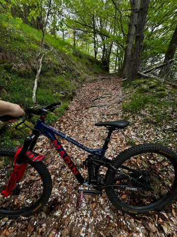 Used Marin Alpine Trail XR 2023 2023 Mountainbike, Black, 29 — image 5 of 10