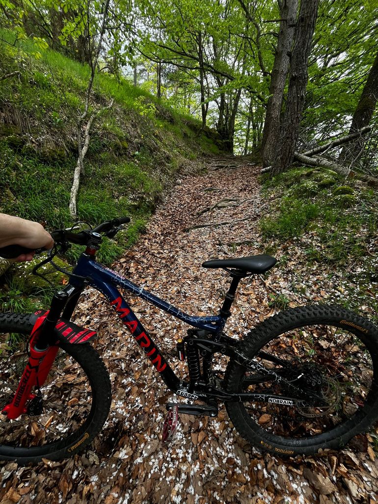 Used Marin Alpine Trail XR 2023 2023 Mountainbike, Black, 29 — image 5 of 10