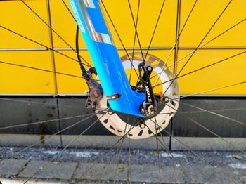 Used Wilier Urta SLR SHIMANO XT 1X12 2023 2023 Mountainbike — image 5 of 22