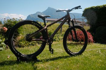 Used Rose THE BRUCE 1 2022 2022 Mountainbike, Orange, 26 — image 2 of 10