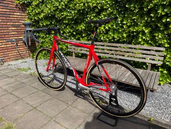 Used Specialized Langster Shimano Dura Ace 2008 Road & Gravel, Rot — image 6 of 12