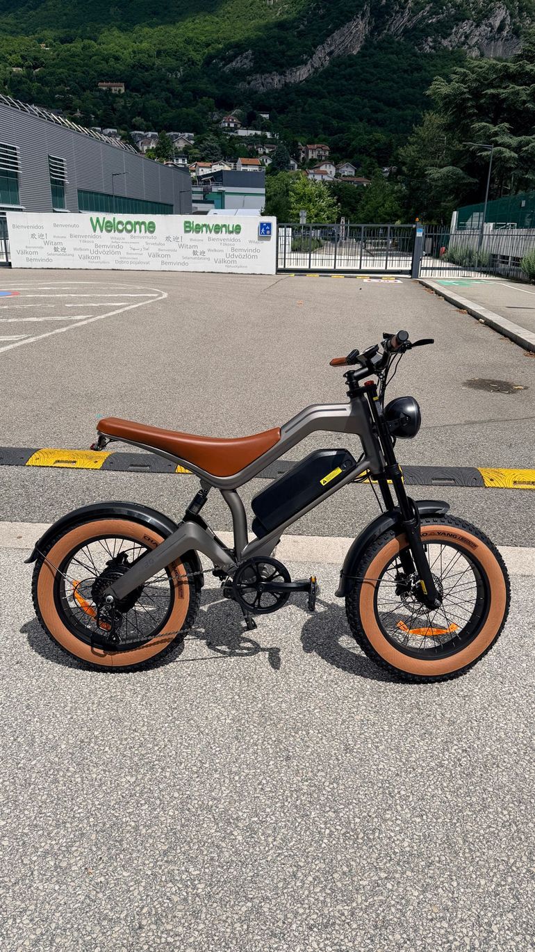 Used Other Brands Other Brands Custom Other 2026 Mountainbike, Light Gray — image 1 of 7
