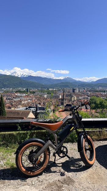 Used Other Brands Other Brands Custom Other 2026 Mountainbike, Light Gray — image 2 of 7