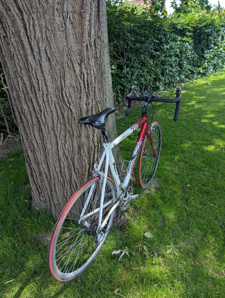 Used Altrix Altrix Custom Shimano Tiagra 2010 Road & Gravel, Weiß — image 4 of 4