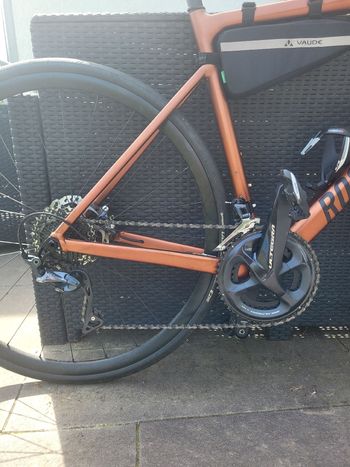 Used Rose Reveal AL Ultegra 2024 2024 Road & Gravel, Orange — image 3 of 16
