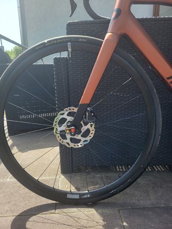 Used Rose Reveal AL Ultegra 2024 2024 Road & Gravel, Orange — image 10 of 16