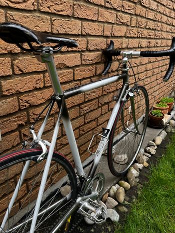 Used Shimano Vintage Rennrad 58cm 2000 Road & Gravel, Light Gray — image 11 of 12