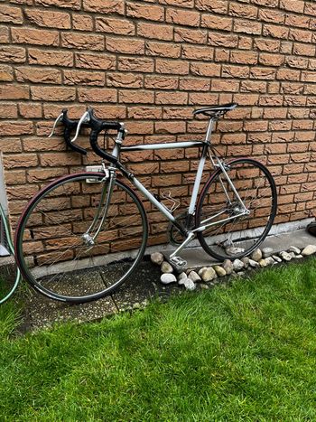 Used Shimano Vintage Rennrad 58cm 2000 Road & Gravel, Light Gray — image 2 of 12