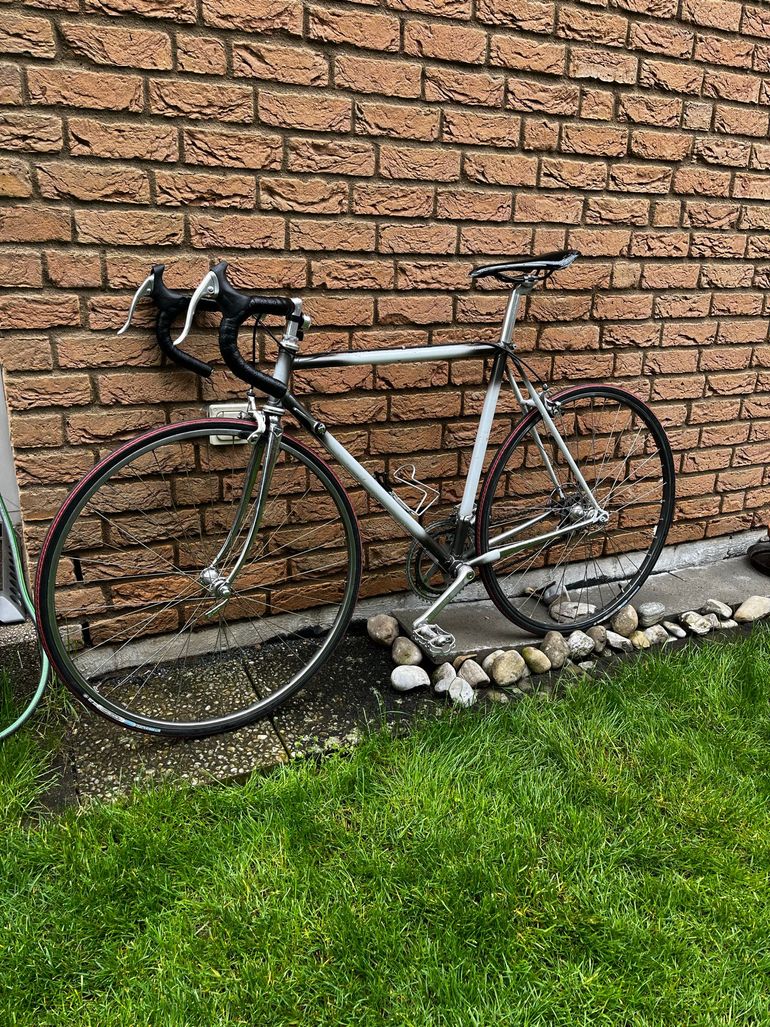 Used Shimano Vintage Rennrad 58cm 2000 Road & Gravel, Light Gray — image 2 of 12