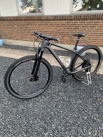 Used Radon JEALOUS 8.0 2022 2022 Mountainbike, Light Gray — image 6 of 6