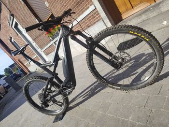 Used Canyon Spectral:ON 8.0 2019 2019 Mountainbike, Black — image 9 of 9