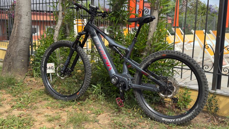 Used Olympia Ex 900 Sport 2022 2022 Mountainbike, Black — image 8 of 12