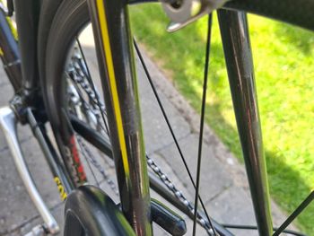 Used Colnago C40 Campagnolo Record 2002 Road & Gravel, Black — image 12 of 16