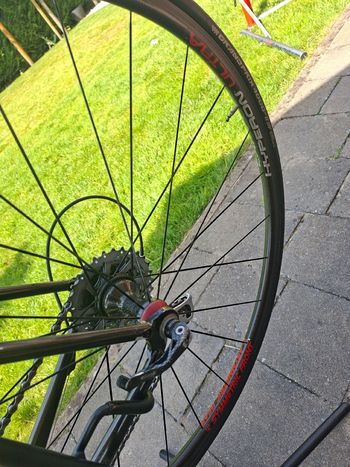 Used Colnago C40 Campagnolo Record 2002 Road & Gravel, Black — image 14 of 16