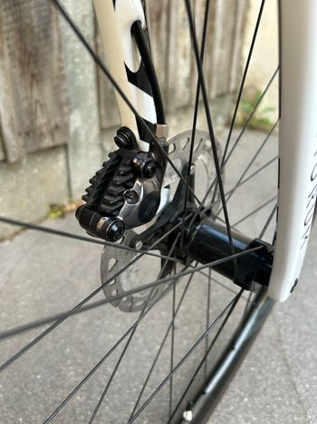 Used Aurum Aurum Custom Shimano Ultegra Di2 2024 Road & Gravel, White — image 8 of 18