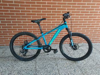 Used Bottecchia Bottecchia Custom Other Shimano - Mountainbike 2022 MTB