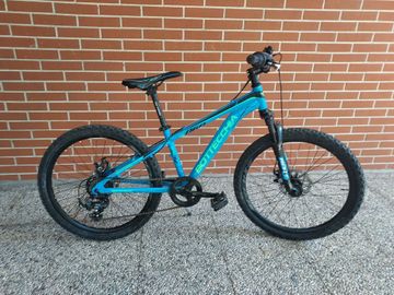 Used Bottecchia Custom Other Shimano - Mountainbike 2022 Mountainbike, Blue — image 1 of 5