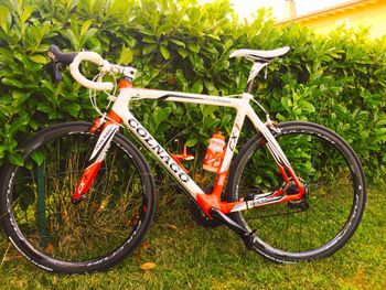 Used Colnago Cx1 2012 Road & Gravel