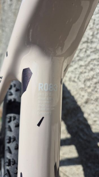 Used Canyon Grizl CF SLX 8 EKAR 2024 2024 Road & Gravel — image 6 of 6