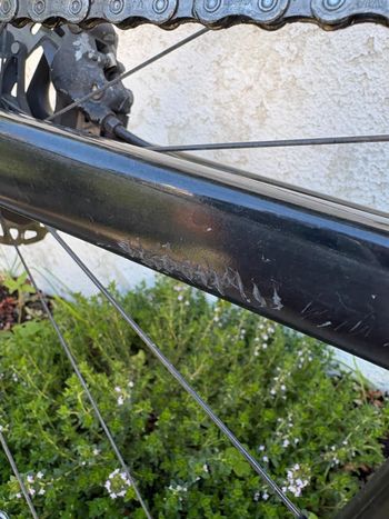 Used Canyon Endurace CF SL Disc 8.0 2020 2020 Road & Gravel — image 7 of 12