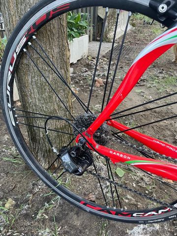 Used Casati Custom Campagnolo Record 2010 Road & Gravel, Red — image 6 of 13