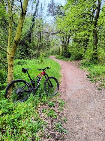 Used Trek Fuel EX 8 Gen 5 2023 2023 Mountainbike — image 12 of 26