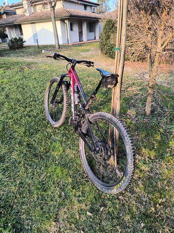 Used Trek Fuel EX 8 Gen 5 2023 2023 Mountainbike — image 23 of 26