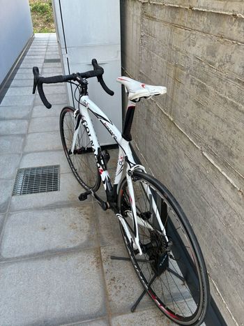 Used Colnago CLX Disc Shimano Ultegra 2018 Road & Gravel