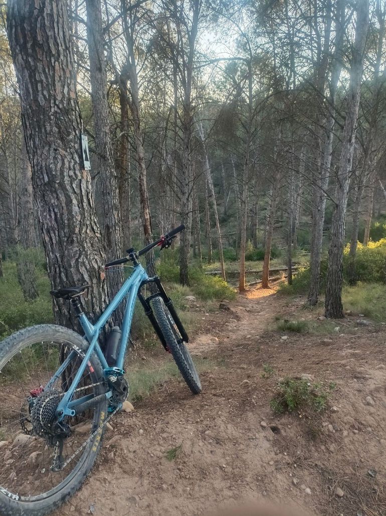 Used Nukeproof Nukeproof Custom SRAM GX Eagle AXS 2022 Mountainbike, Blue — image 3 of 5