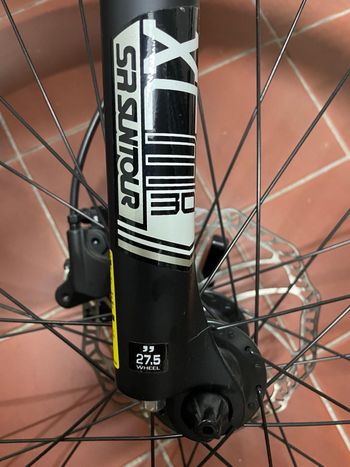 Used Elios Elios Custom Shimano Acera 2019 Mountainbike, Light Gray — image 5 of 9