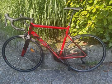 Gebrauchtes Nakamura Century 200 2019 Road & Gravel