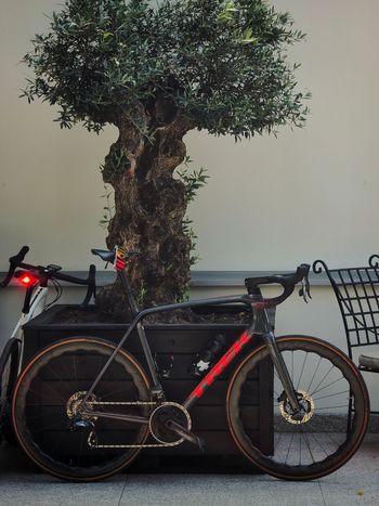 Used Trek Émonda SL 5 2024 2024 Road & Gravel