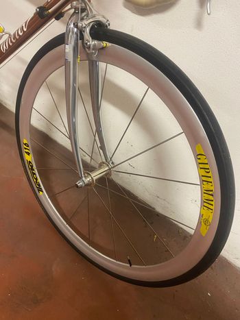 Used Wilier Wilier Custom Campagnolo Chorus 1996 Road & Gravel — image 10 of 15