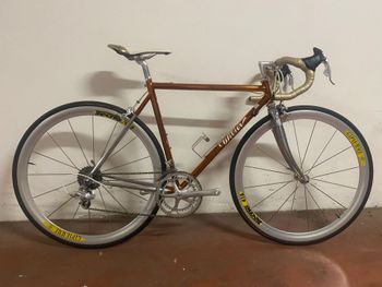 Used Wilier Wilier Custom Campagnolo Chorus 1996 Route & Gravel